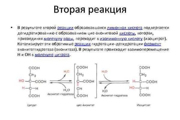 Кракен даркнет маркетплейс