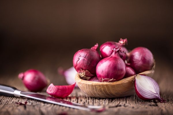 Куплю марихуану бошки гашиш